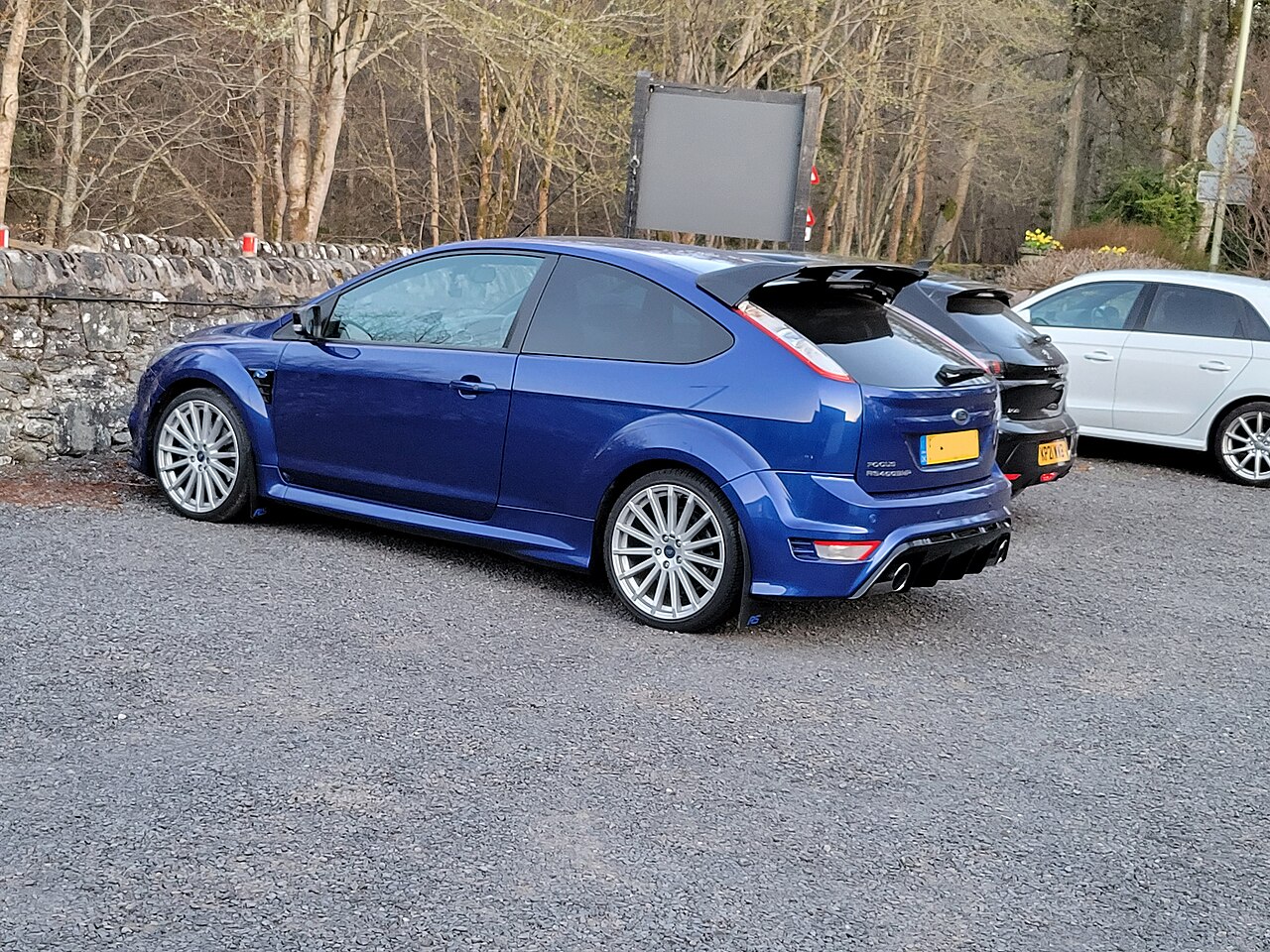 Ford Puma 2010